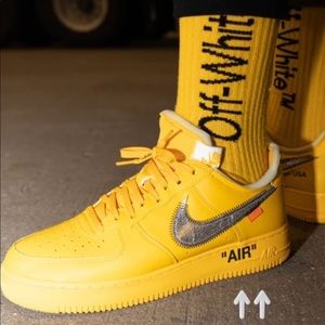 Meet your Posher, Halley